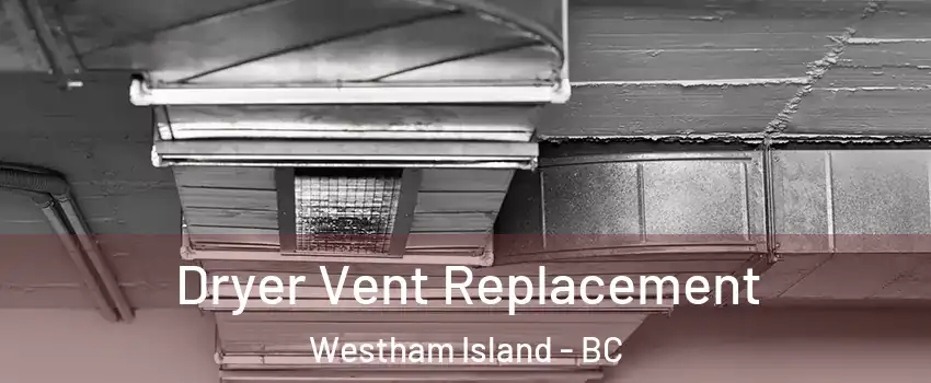  Dryer Vent Replacement Westham Island - BC