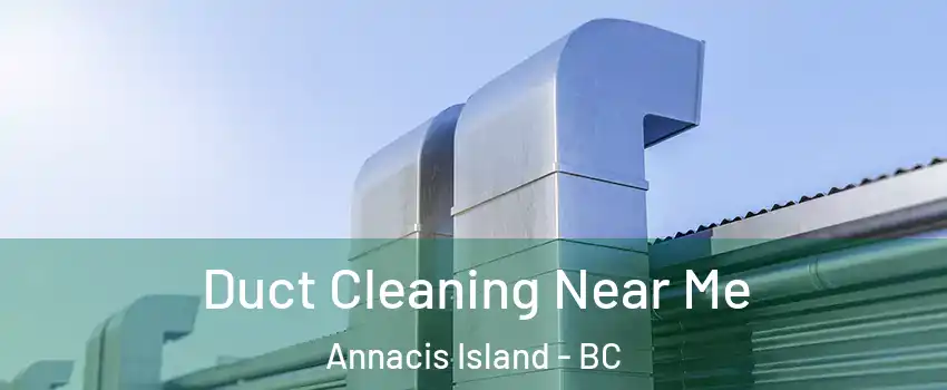  Duct Cleaning Near Me Annacis Island - BC