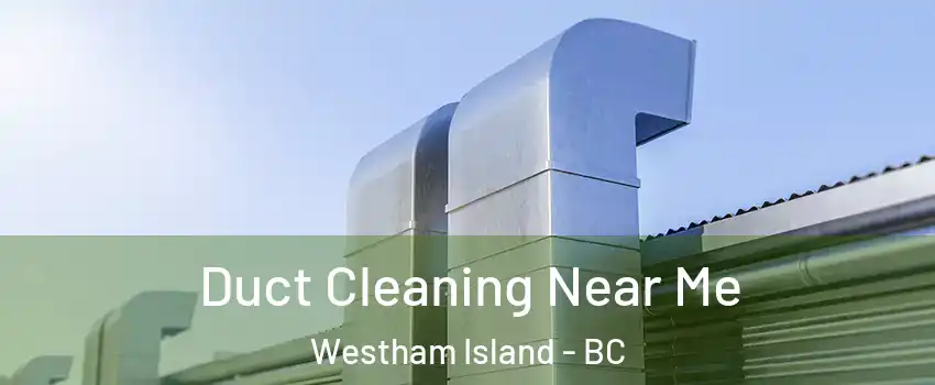  Duct Cleaning Near Me Westham Island - BC