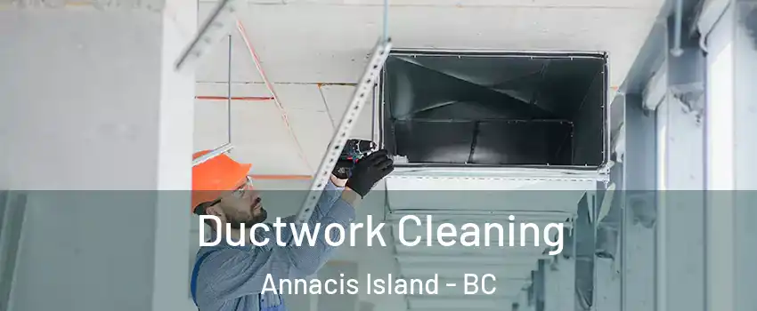  Ductwork Cleaning Annacis Island - BC