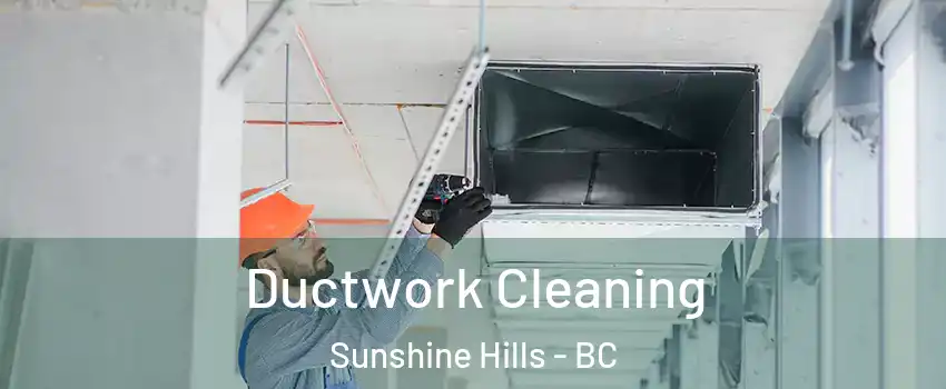  Ductwork Cleaning Sunshine Hills - BC
