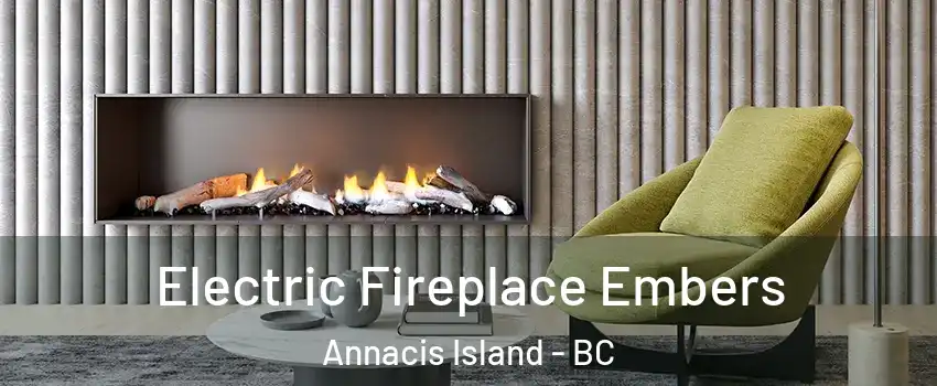  Electric Fireplace Embers Annacis Island - BC