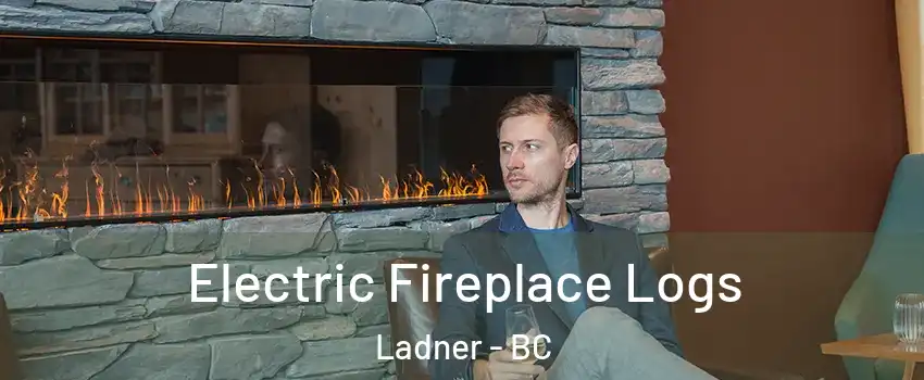  Electric Fireplace Logs Ladner - BC