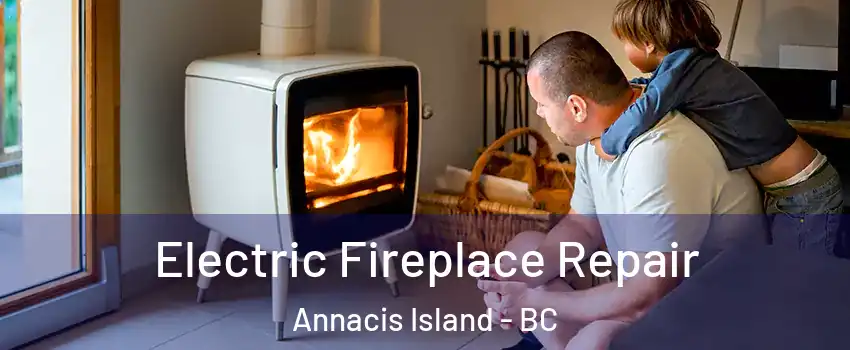  Electric Fireplace Repair Annacis Island - BC