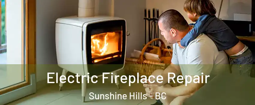  Electric Fireplace Repair Sunshine Hills - BC