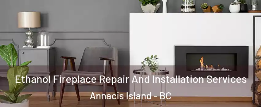  Ethanol Fireplace Repair And Installation Services Annacis Island - BC