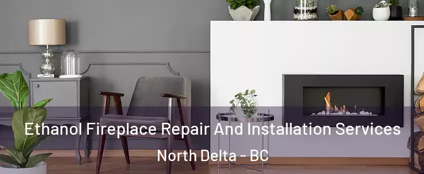  Ethanol Fireplace Repair And Installation Services North Delta - BC