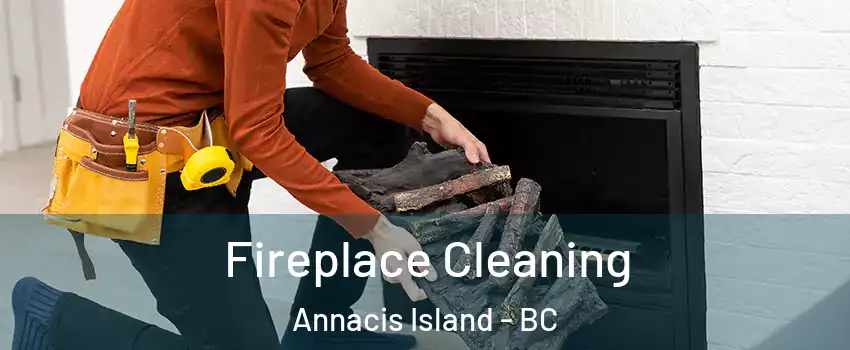  Fireplace Cleaning Annacis Island - BC