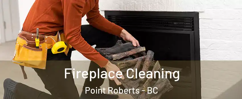  Fireplace Cleaning Point Roberts - BC