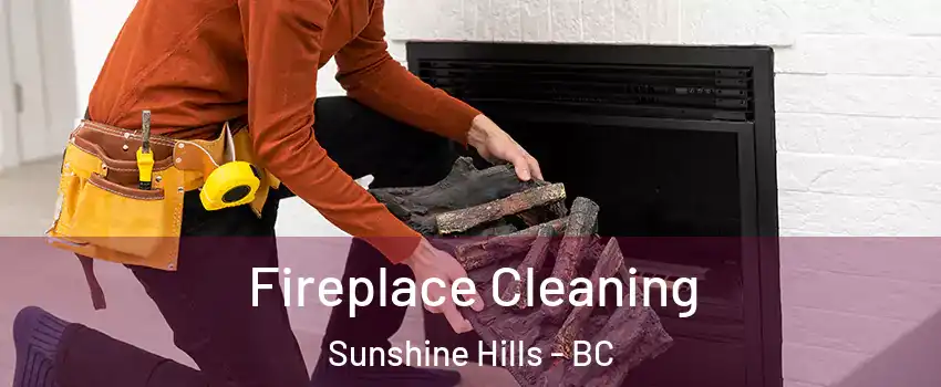  Fireplace Cleaning Sunshine Hills - BC