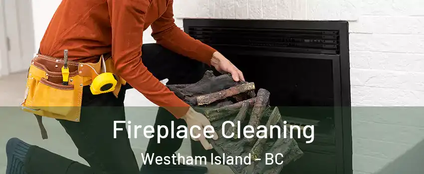  Fireplace Cleaning Westham Island - BC