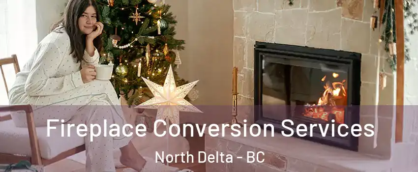  Fireplace Conversion Services North Delta - BC