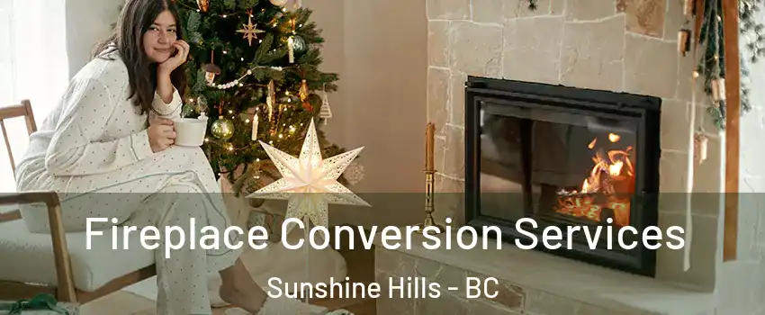  Fireplace Conversion Services Sunshine Hills - BC