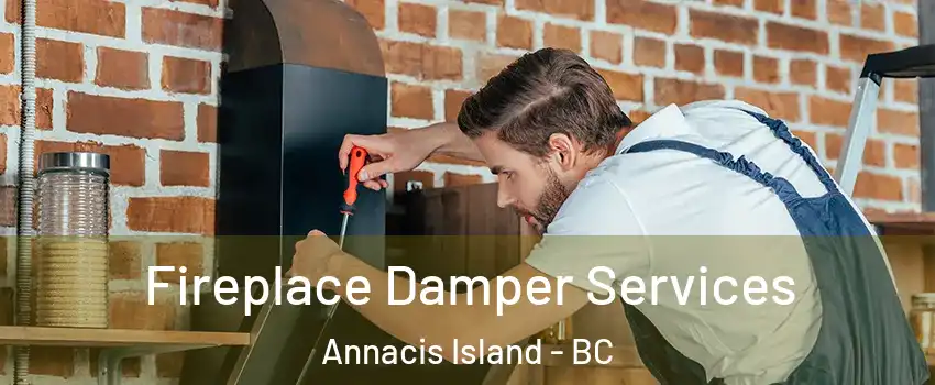  Fireplace Damper Services Annacis Island - BC