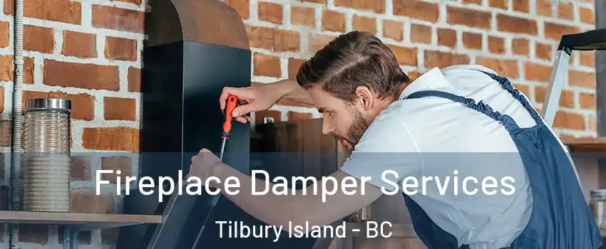  Fireplace Damper Services Tilbury Island - BC