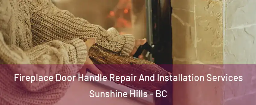  Fireplace Door Handle Repair And Installation Services Sunshine Hills - BC