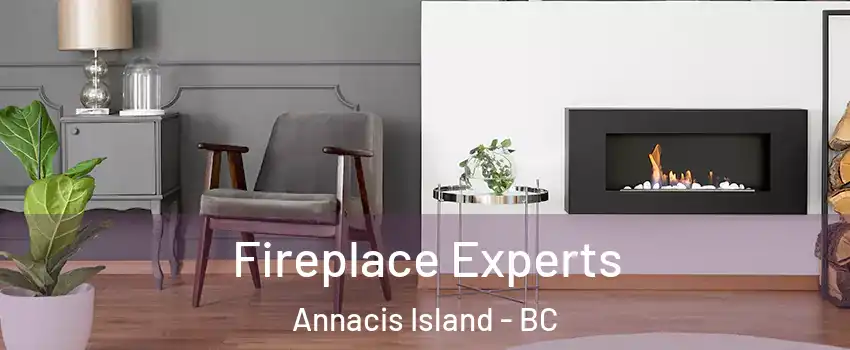  Fireplace Experts Annacis Island - BC