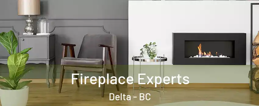  Fireplace Experts Delta - BC