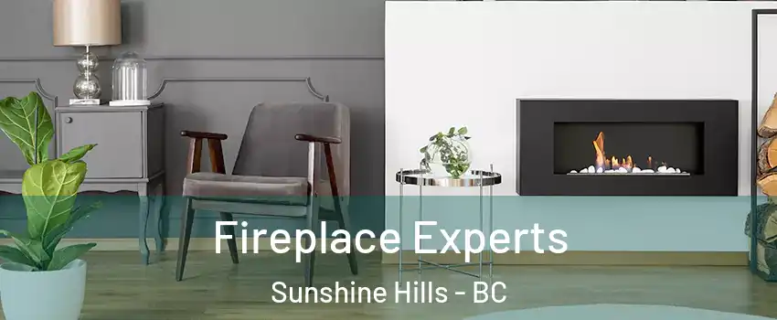  Fireplace Experts Sunshine Hills - BC