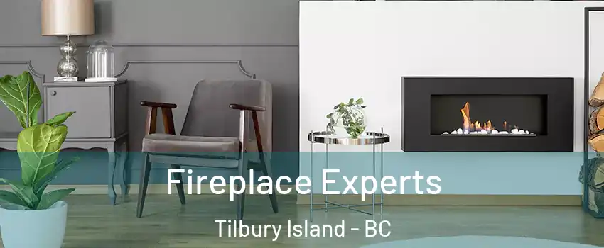  Fireplace Experts Tilbury Island - BC