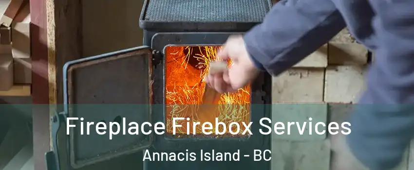 Fireplace Firebox Services Annacis Island - BC