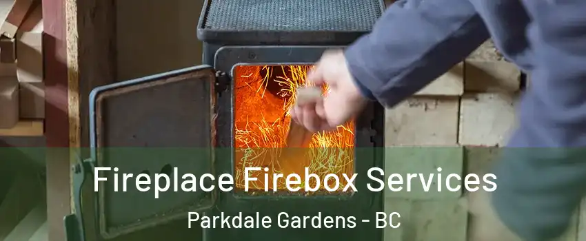  Fireplace Firebox Services Parkdale Gardens - BC