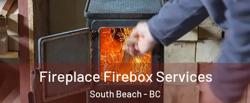  Fireplace Firebox Services South Beach - BC