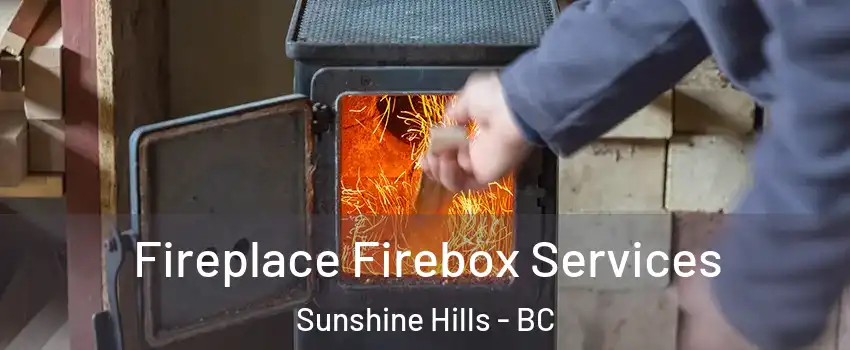  Fireplace Firebox Services Sunshine Hills - BC