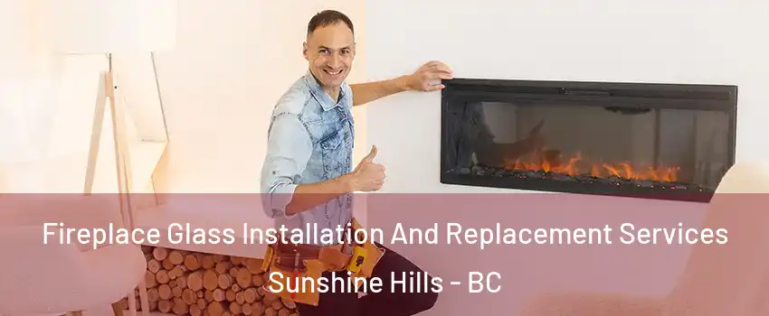  Fireplace Glass Installation And Replacement Services Sunshine Hills - BC