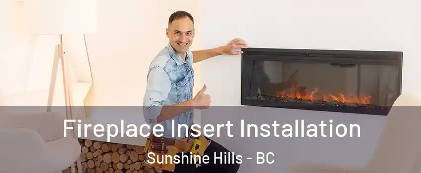  Fireplace Insert Installation Sunshine Hills - BC
