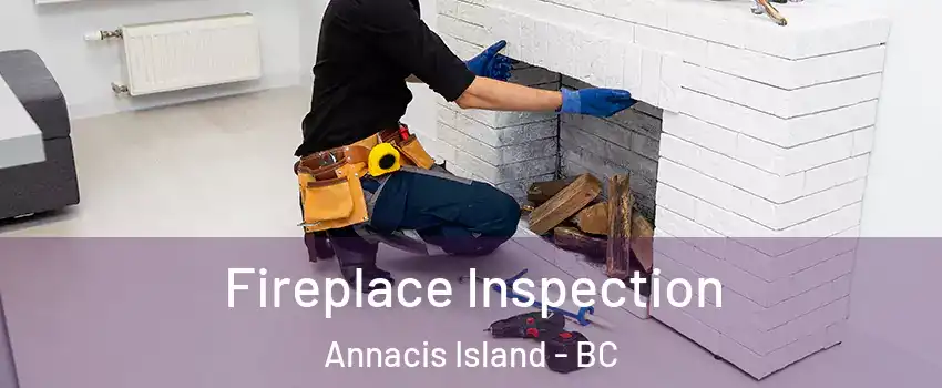  Fireplace Inspection Annacis Island - BC