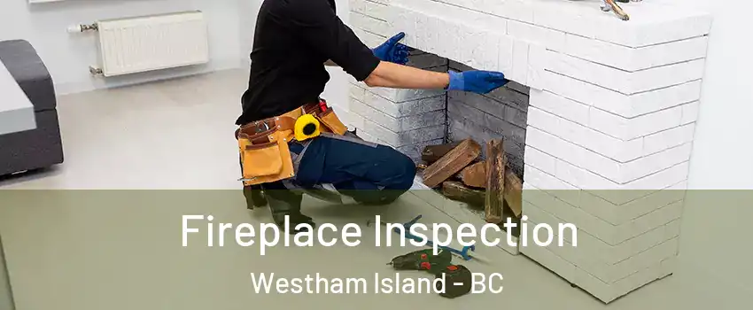  Fireplace Inspection Westham Island - BC