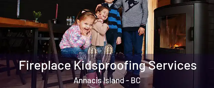  Fireplace Kidsproofing Services Annacis Island - BC