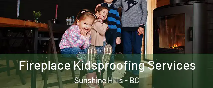  Fireplace Kidsproofing Services Sunshine Hills - BC