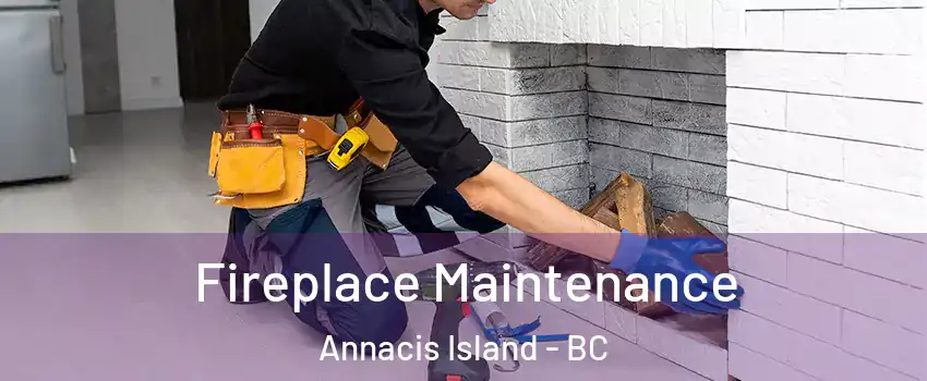 Fireplace Maintenance Annacis Island - BC