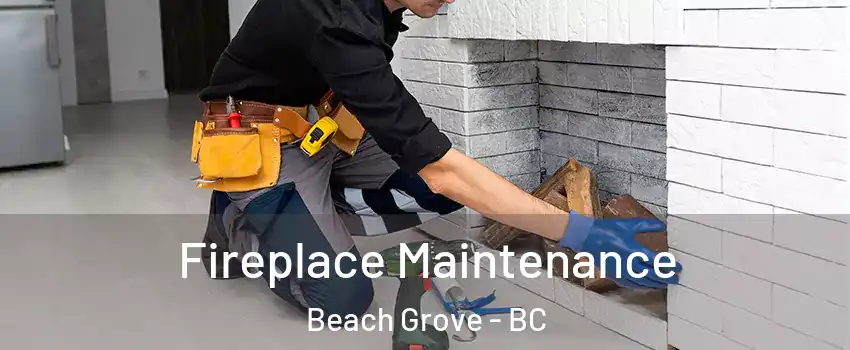  Fireplace Maintenance Beach Grove - BC