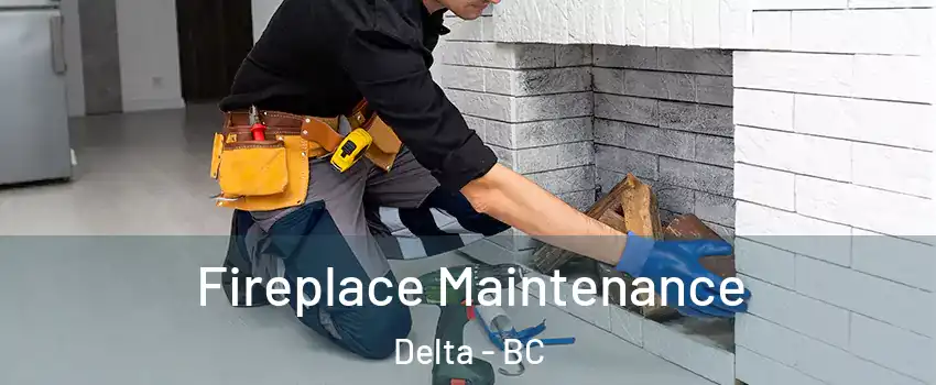  Fireplace Maintenance Delta - BC
