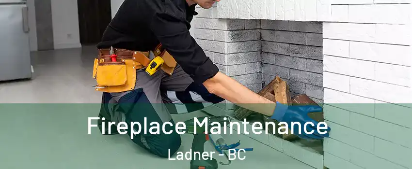  Fireplace Maintenance Ladner - BC