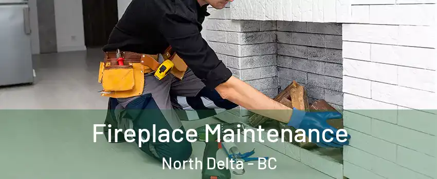  Fireplace Maintenance North Delta - BC