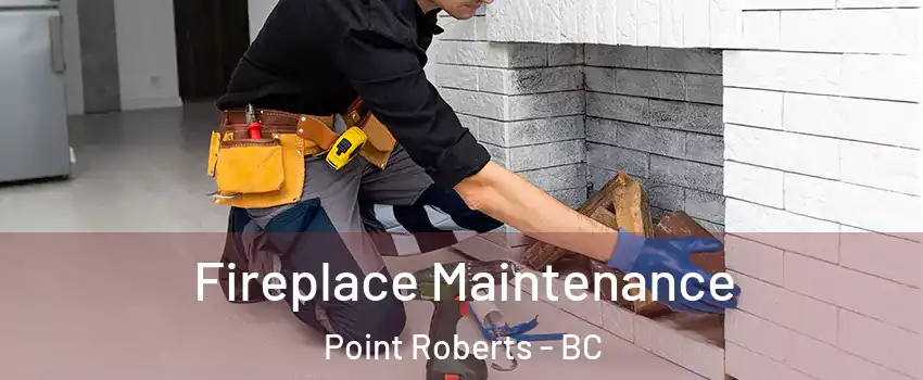  Fireplace Maintenance Point Roberts - BC