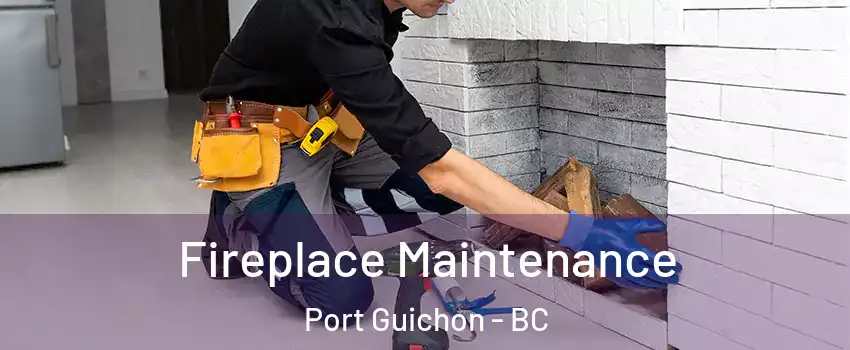  Fireplace Maintenance Port Guichon - BC