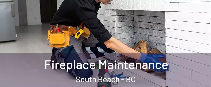  Fireplace Maintenance South Beach - BC