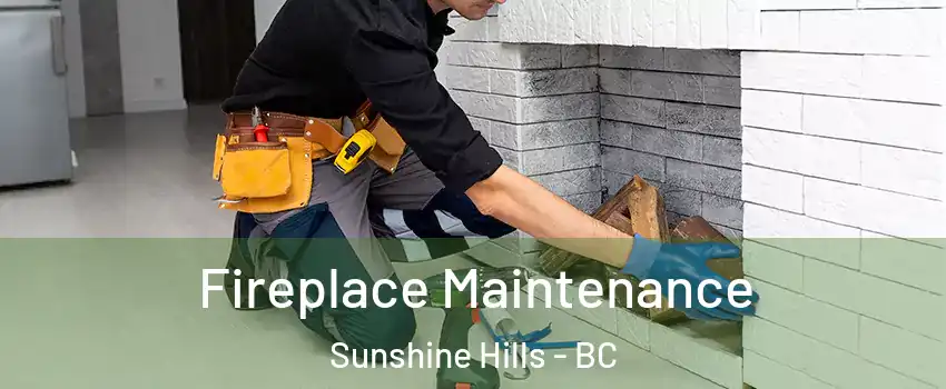  Fireplace Maintenance Sunshine Hills - BC