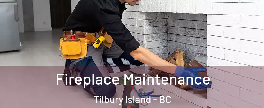  Fireplace Maintenance Tilbury Island - BC