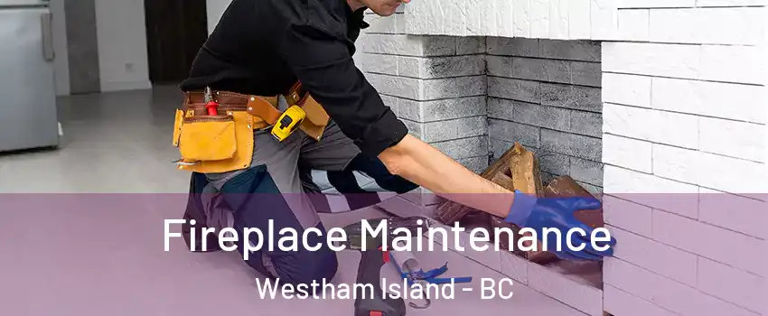  Fireplace Maintenance Westham Island - BC