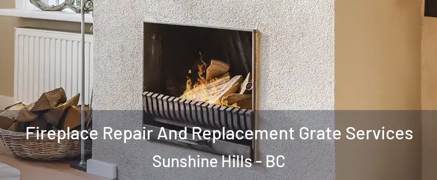  Fireplace Repair And Replacement Grate Services Sunshine Hills - BC