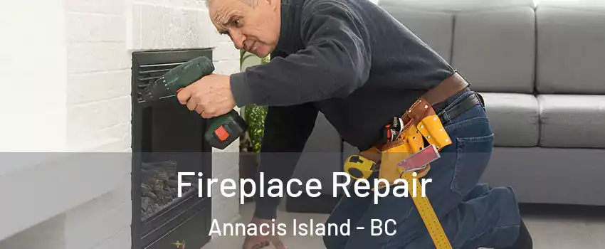  Fireplace Repair Annacis Island - BC