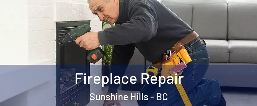  Fireplace Repair Sunshine Hills - BC