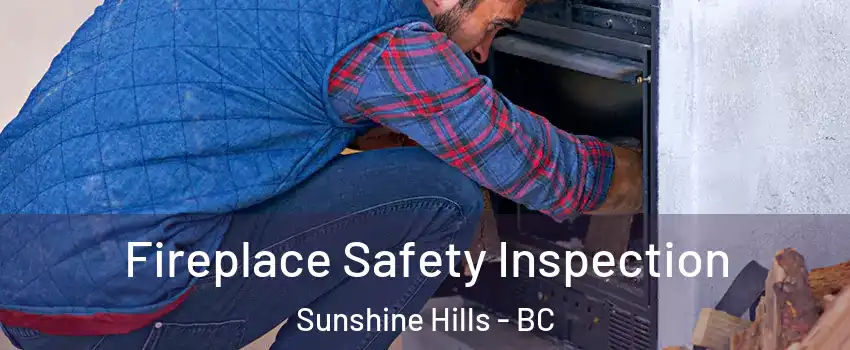  Fireplace Safety Inspection Sunshine Hills - BC