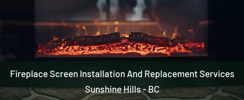  Fireplace Screen Installation And Replacement Services Sunshine Hills - BC